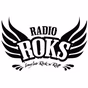 Radio Roks - Рок Концерт logo