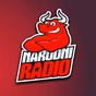 Narodni radio Zenica logo