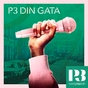 SR P3 Din Gata logo