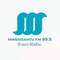 Mwendantu FM 99.5 logo