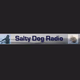 Logo de Celtic Radio - SaltyDog Radio