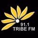 Logo de Tribe FM 91.1