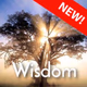 Logo de Calm Radio - Wisdom