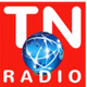 Logo de TheNetwork Radio - Successi Italiani