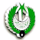 Logo de Radio Pakistan Faisalabad FM-93