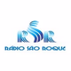 Logo de Rádio São Roque