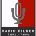 Logo de Radio Dilber FM 94