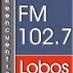 Logo de FM Reencuentro