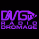 Logo de RADIO DROMAGE