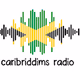 Logo de Caribriddims Radio