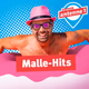 Logo de Antenne 1 - Mallehits