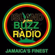 Logo de Island Buzz Radio
