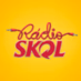 Logo de Radio Skol - Sertanejo