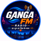Logo de Ganga fm India
