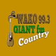 Logo de Giant FM - W257DW
