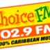 Logo de choice 1029