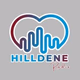 Logo de DFM Radio - Hilldene Radio