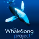 Logo de WhaleSong Project