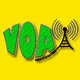Logo de VOICE OF AFRICA