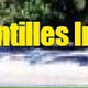 Logo de Radio Antilles Internationale