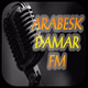 Logo de Arabesk Damar FM