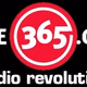 Logo de Shades of the Past