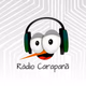 Logo de Rádio Carapanã