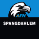 Logo de AFN Spangdahlem - The Eagle