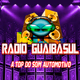 Logo de Web Rádio Guaibasul
