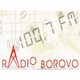 Logo de Radio Borovo