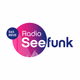 Logo de Radio Seefunk - 90er-pur