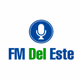 Logo de FM Del Este 93.7