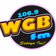 Logo de WGB FM Tabaco - DWPT