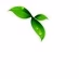 Logo de Vivela Stereo