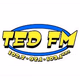 Logo de Ted FM - K246AM