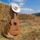 Logo de Great Country Radio
