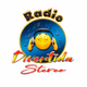 Logo de Radio Divertida Stereo