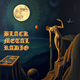 Logo de BLACK METAL RADIO